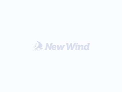 Стул ВЕНСКИЙ 1 New Wind (сзк) шоколад/серый